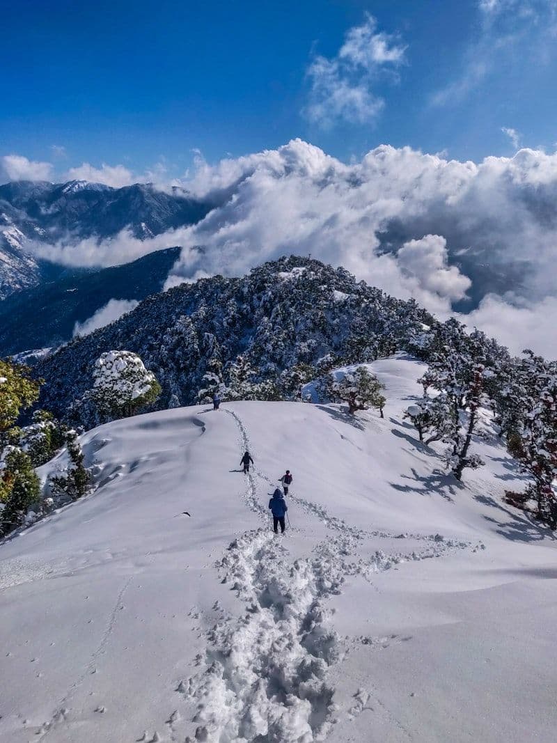 Billing Asia's highest paragliding point, Himachal Pradesh
