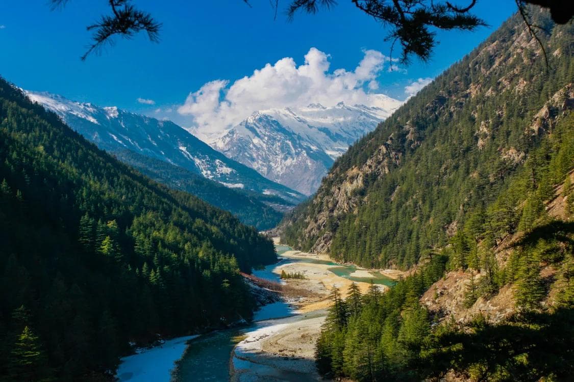 Parvati Valley river gorge with pine forests and snow-capped Himalayan peaks